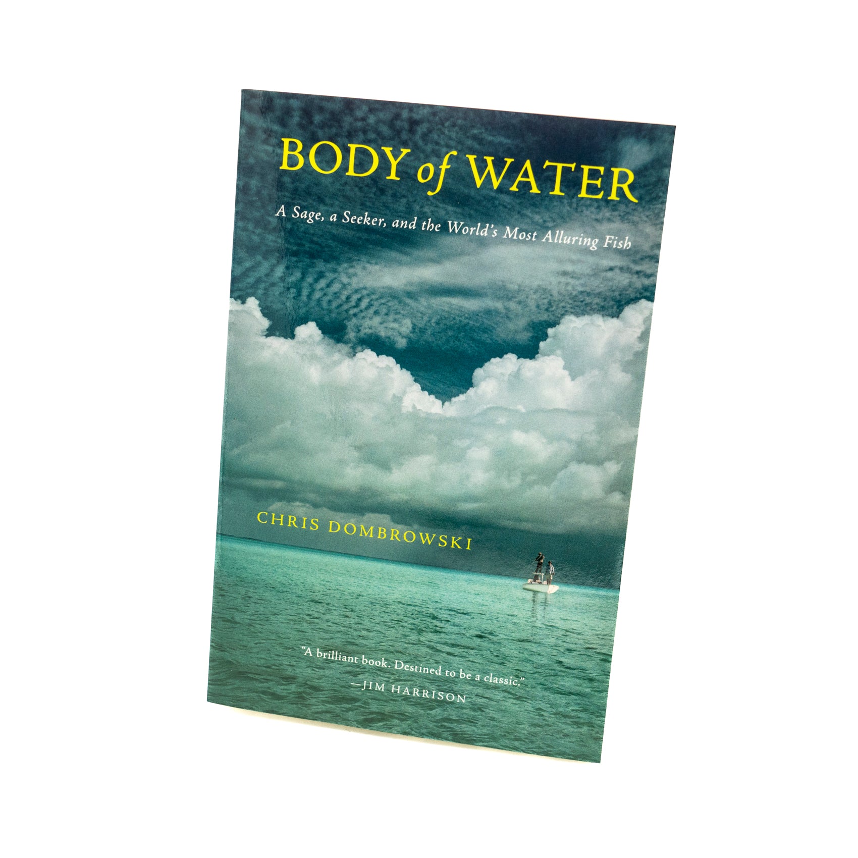 Body of Water | Chris Dombrowski
