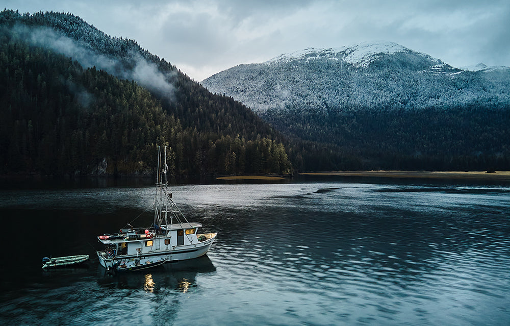 Alaska | Tongass Steelhead