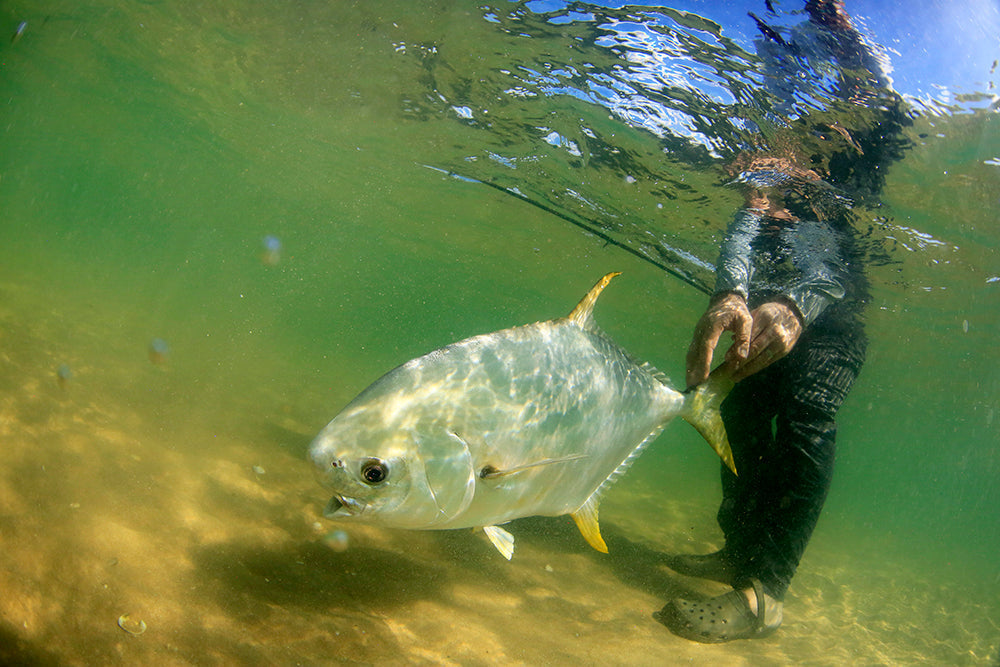 Anak Permit from Cape York, Australia