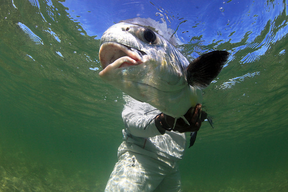Rocky Point Permit Camp | Belize