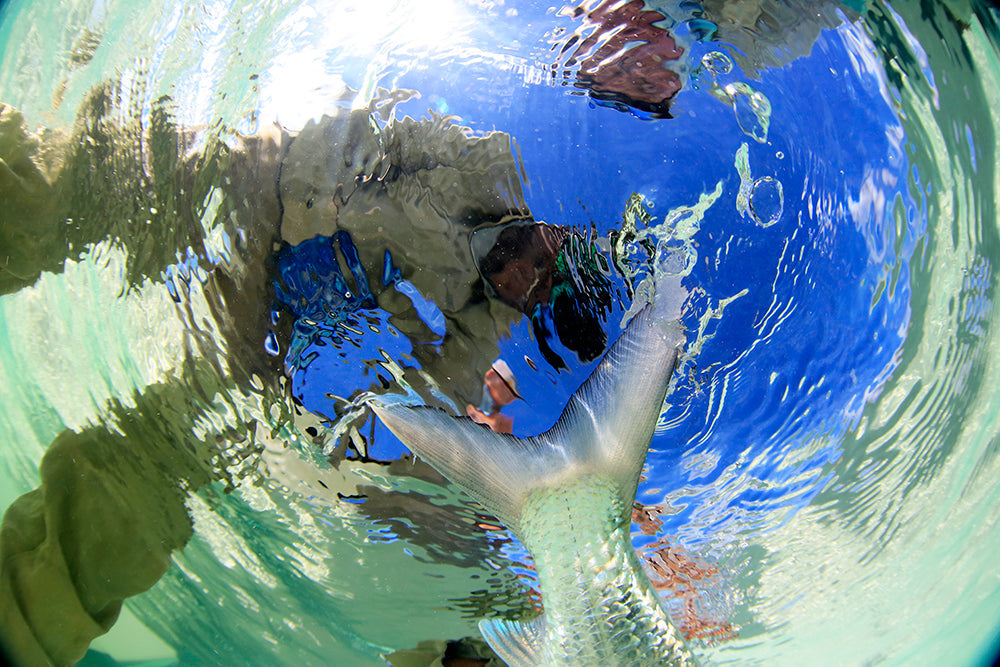 Soul Fly Lodge | Berry Islands | Bahamas
