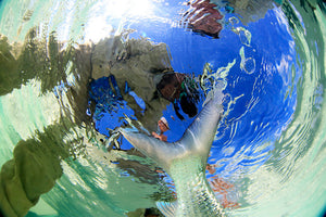 Soul Fly Lodge | Berry Islands | Bahamas