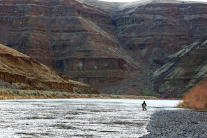 John Day River, OR | Wild Steelhead