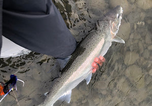 Seattle Fly Fishing Report | April 12, 2024 | It's Been a Season
