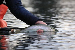 Seattle Fly Fishing Report | December 1, 2023 | Time to Vote