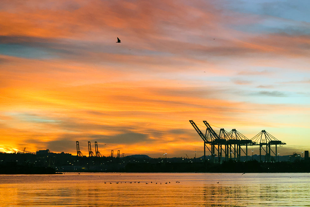 Seattle Fly Fishing Report | January 25, 2022 | Sun Rises