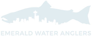 Emerald Water Anglers: Seattle Fly Fishing Store and Outfitter