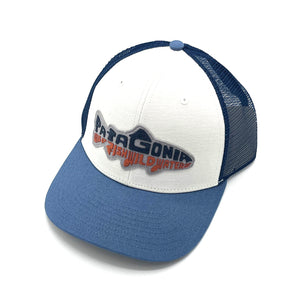 Patagonia | Take A Stand Trucker Hat