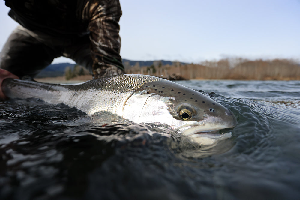 Guide Trip | Full Day Steelhead - Float