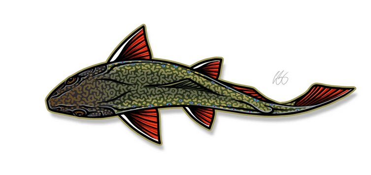 Casey Underwood | Fish Stickers